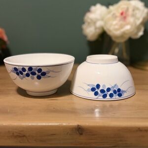 Japanese Blue & White Berry Rice Bowls Set of 2 Ramen Rice Dessert Bowls